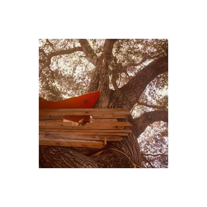 Waiting To Spill (Anniversary Edition) - Anniversary Vinyl LP