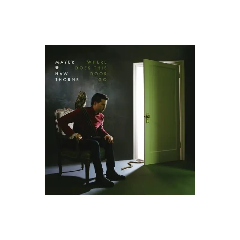 Where Does This Door Go - Vinyl LP