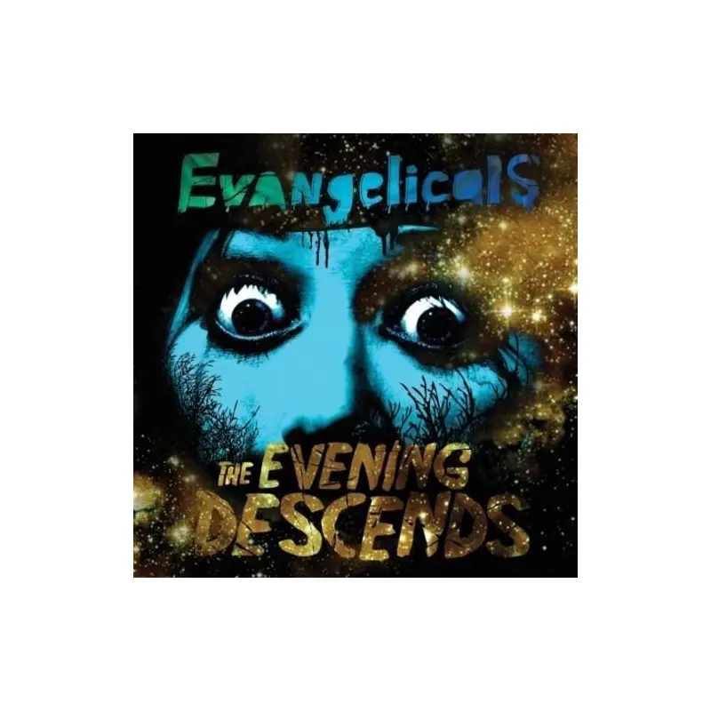 The Evening Descends - Vinyl LP