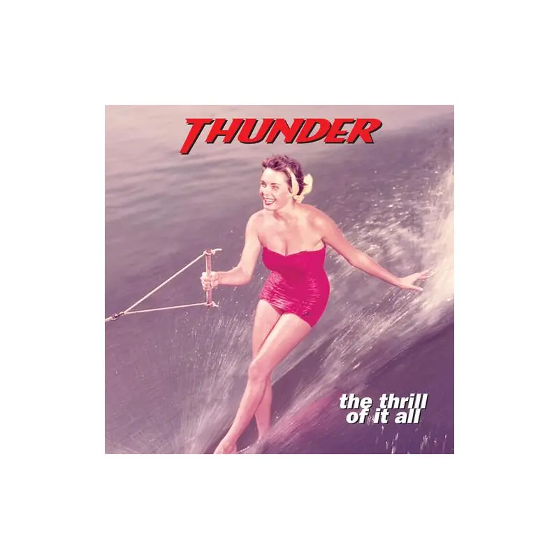 The Thrill Of It All - Vinyl LP