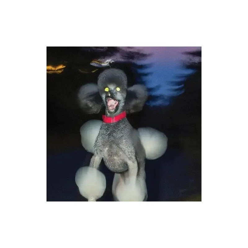 A Dog A Deer A Seal - Vinyl LP