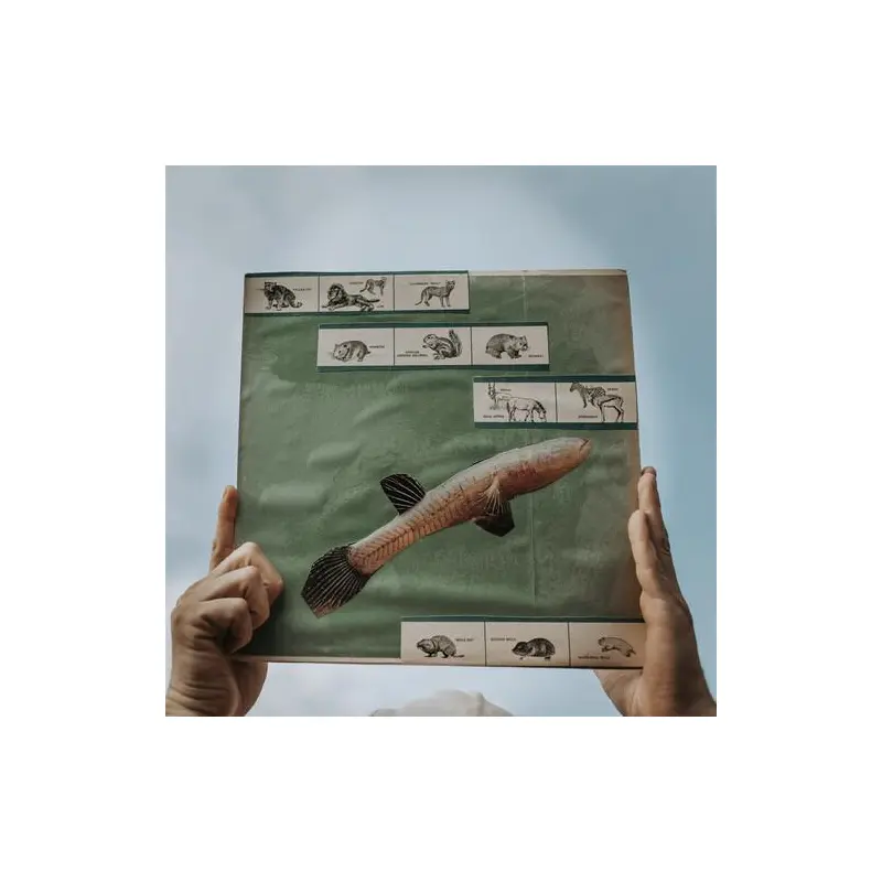 The River Strumming - Vinyl LP 180 Gram