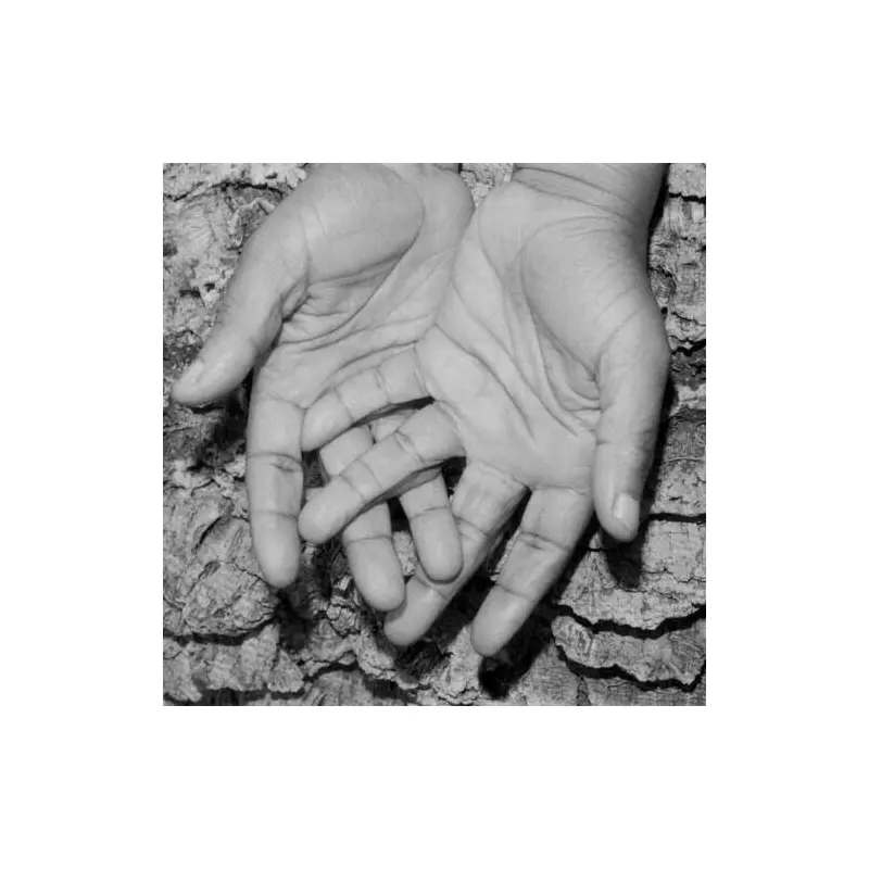 Could We Be More: Remixes - Vinyl LP