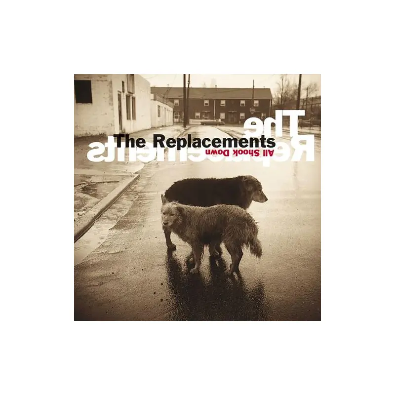 All Shook Down - Vinyl LP