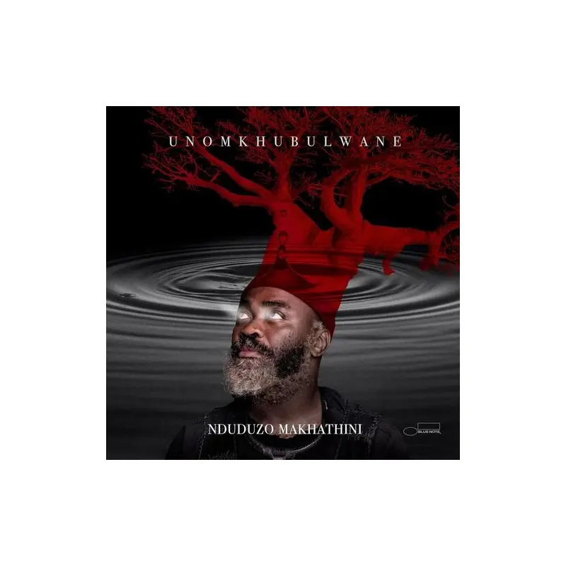 uNomkhubulwane - Vinyl LP