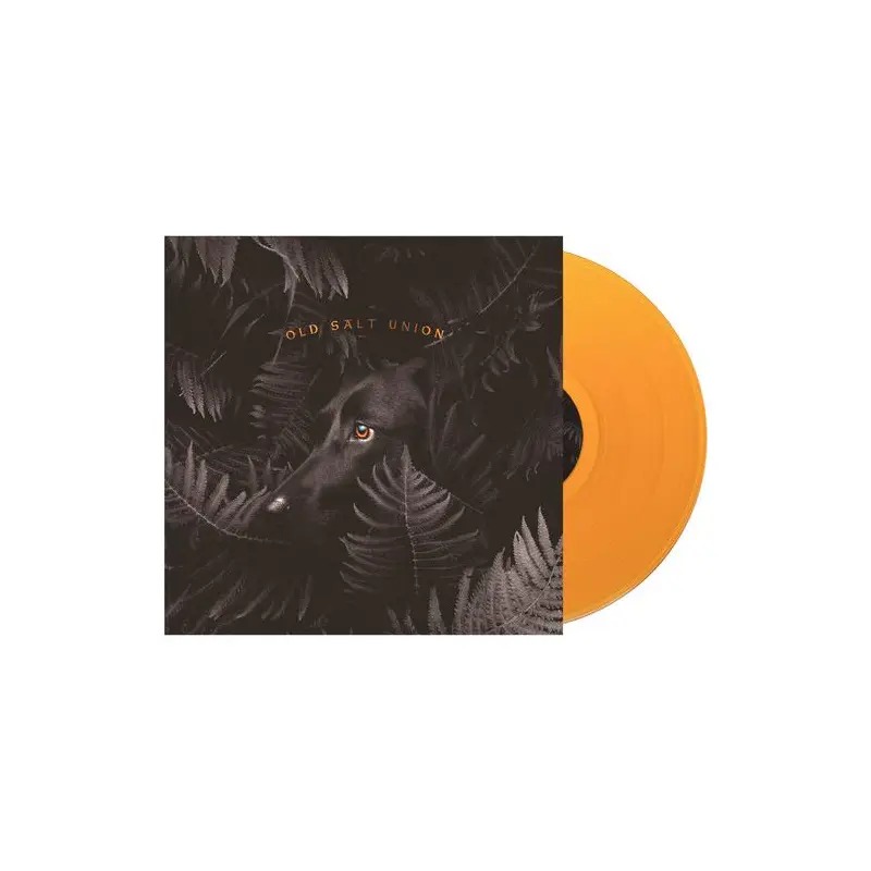 Where The Dogs Don't Bite - Vinyl LP