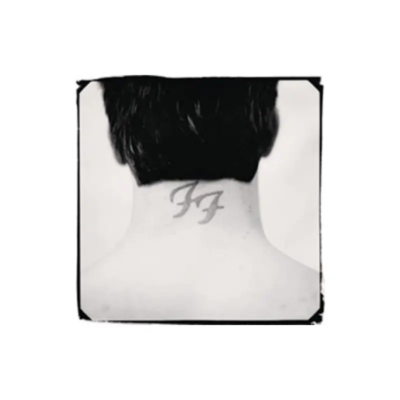 There Is Nothing Left to Lose - Vinyl LP