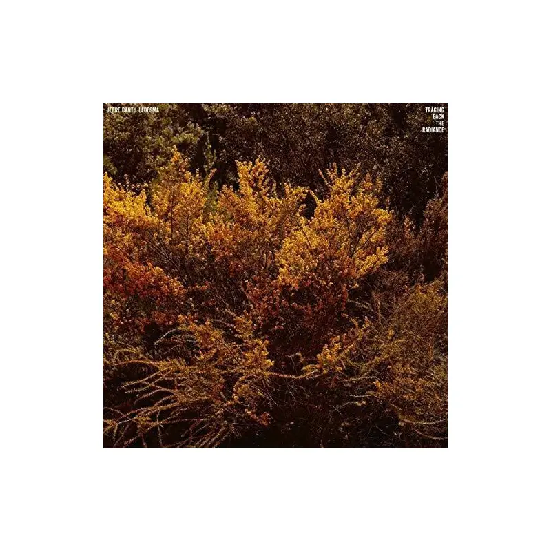 Tracing Back The Radiance - Vinyl LP