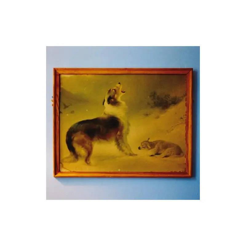 'The Rescue (Anniversary Edition) - Vinyl LP