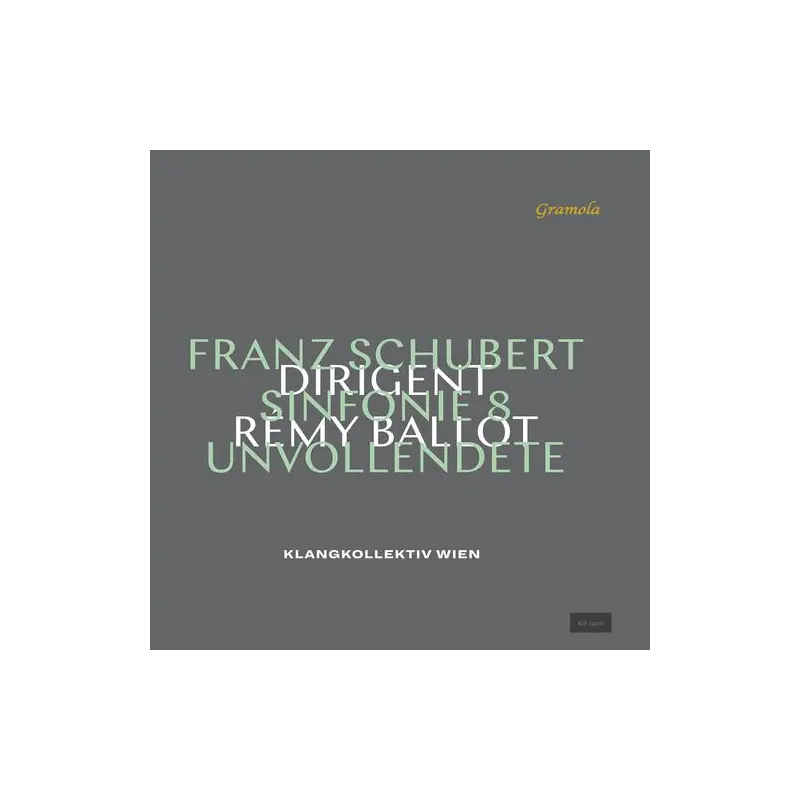 Die Unvollendete 4 - Vinyl LP