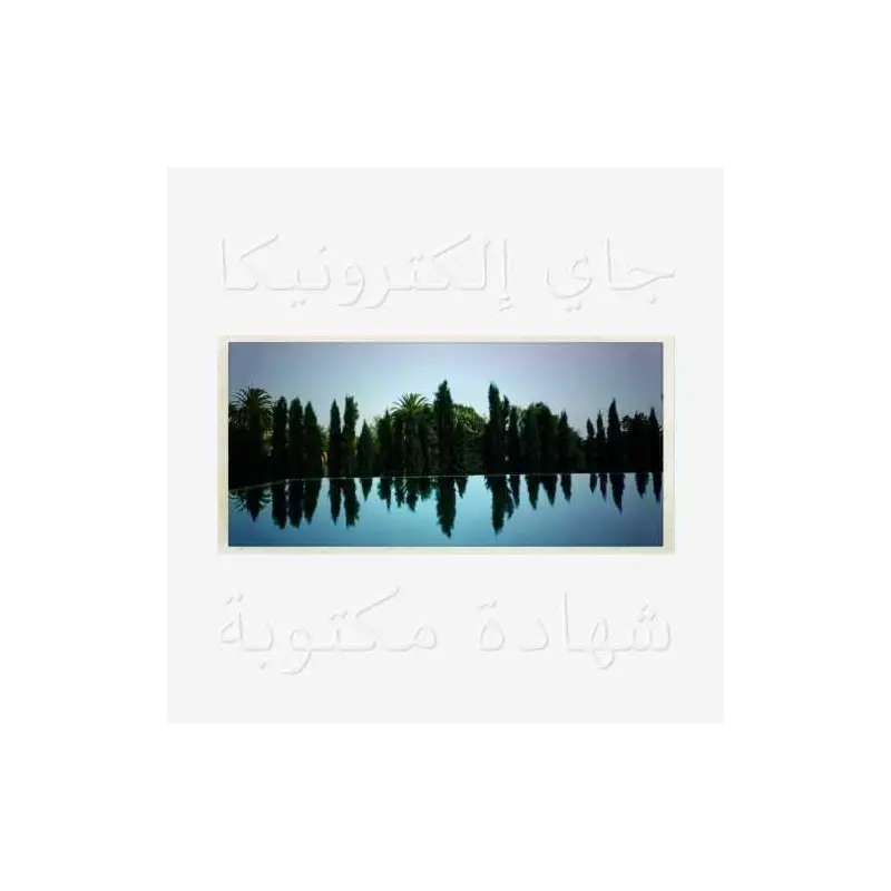 A Written Testimony - Vinyl LP