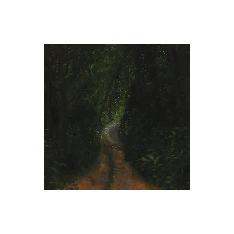 Toda Historia Pela Frente - Vinyl LP