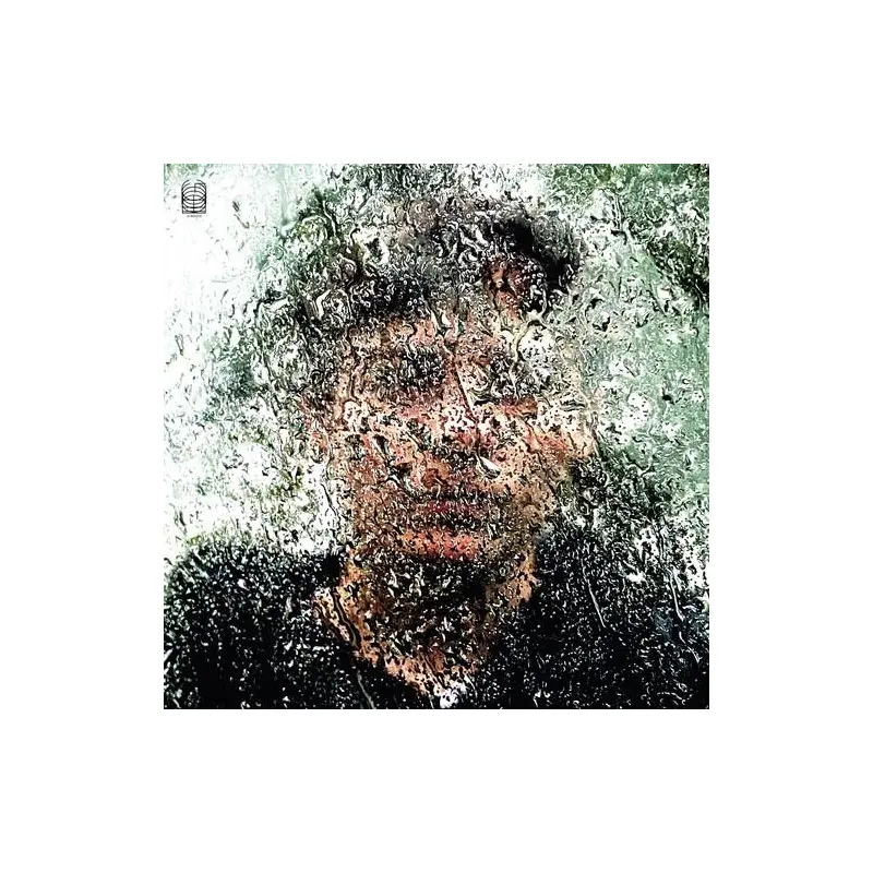 Bye Bye Bird - Vinyl LP