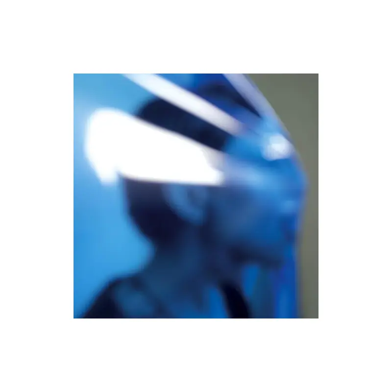 The Obsession With Her Voice - Vinyl LP