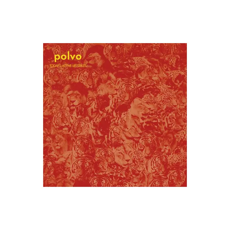 Today's Active Lifestyles - Vinyl LP