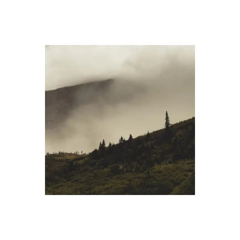 Tohu Wa Bohu - Vinyl LP (Green)