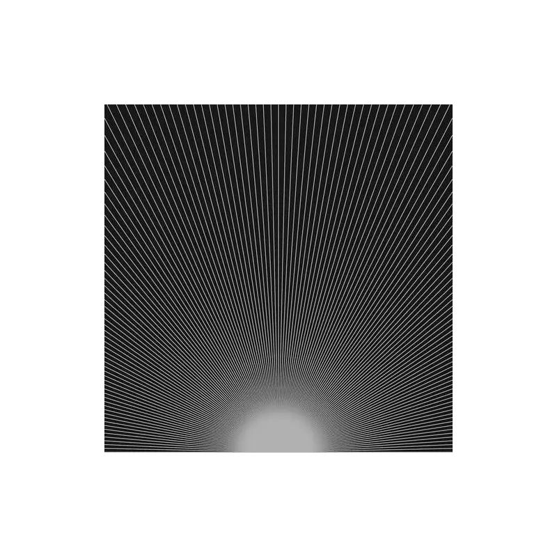 Vanishing - Vinyl LP