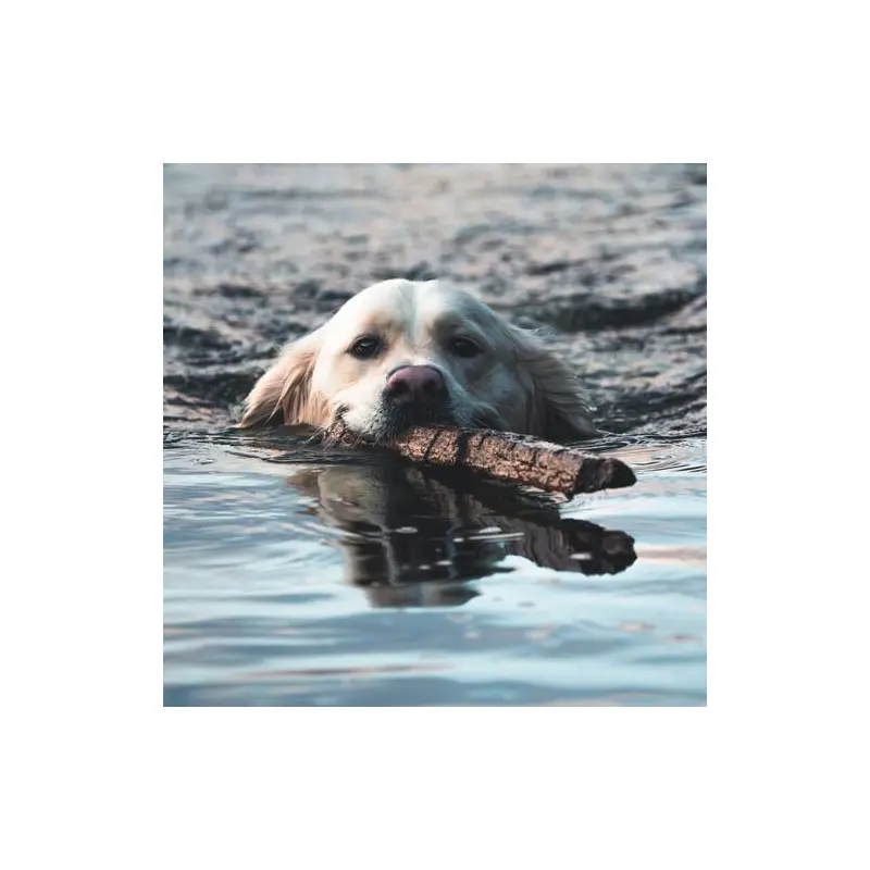 The Chateau - Vinyl LP