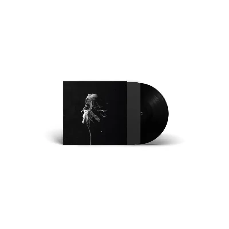 The Light - Vinyl LP