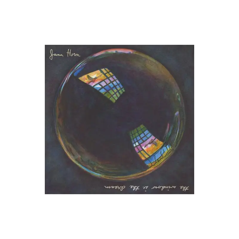 The Window Is The Dream - Vinyl LP