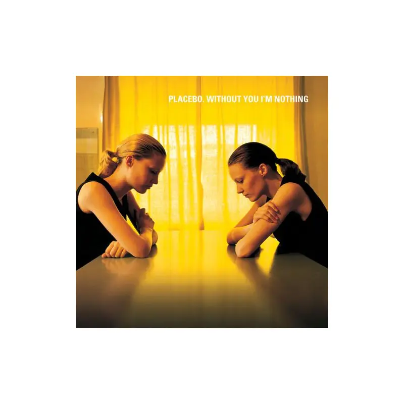 Without You I'm Nothing - Vinyl LP