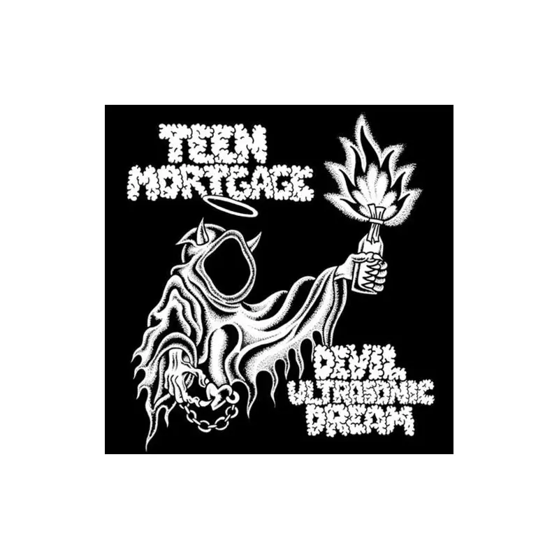 Devil Ultrasonic Dream - Vinyl LP