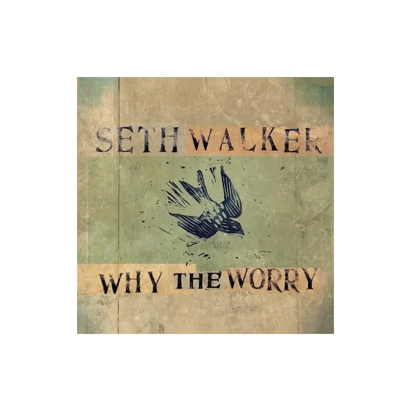 Why The Worry - Vinyl LP