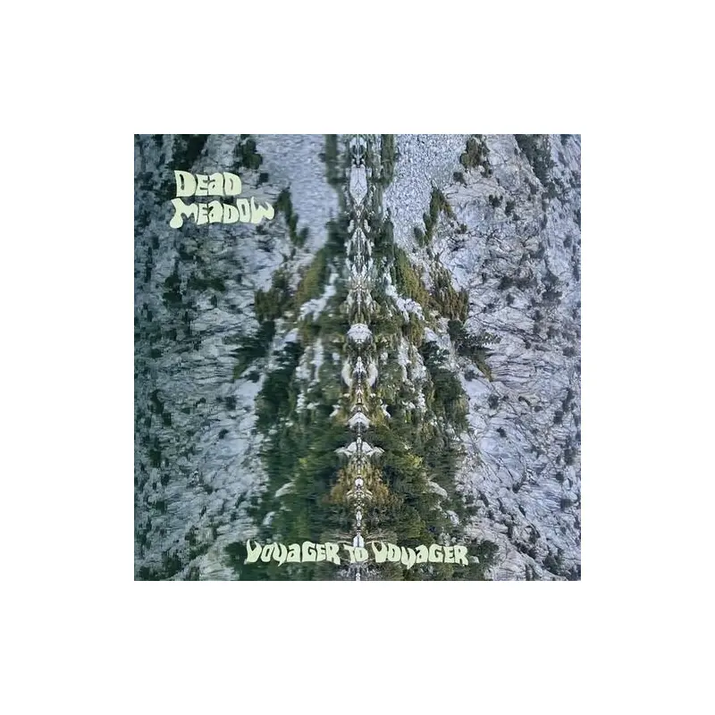 Voyager to Voyager - Vinyl LP