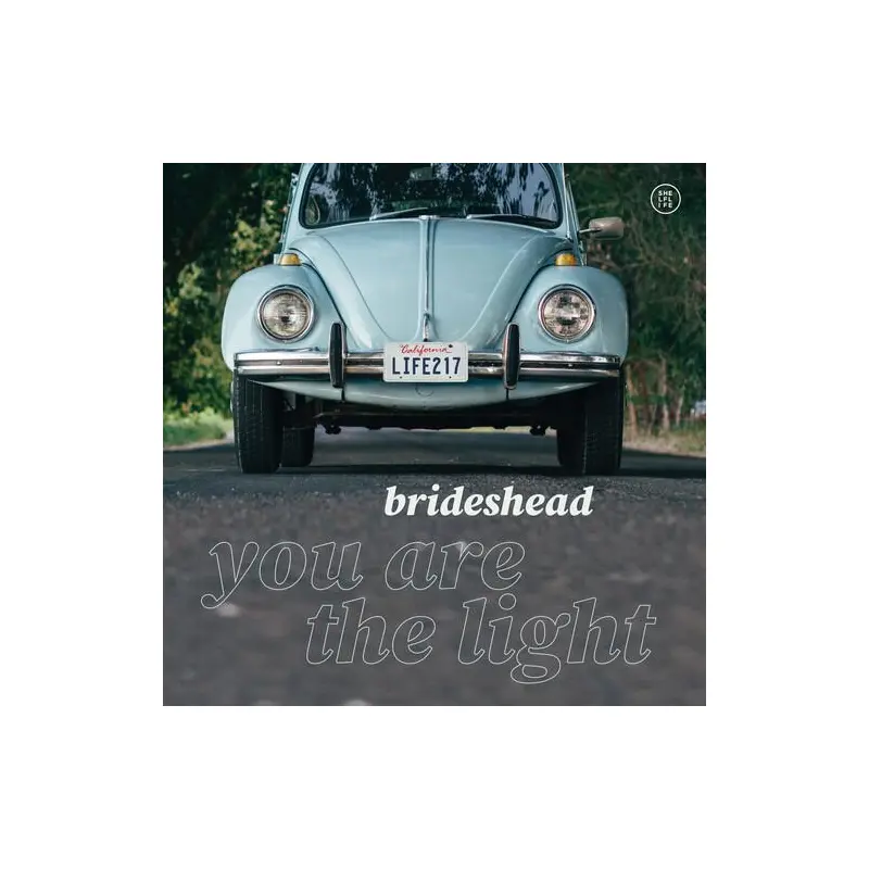 You Are The Light - Vinyl LP