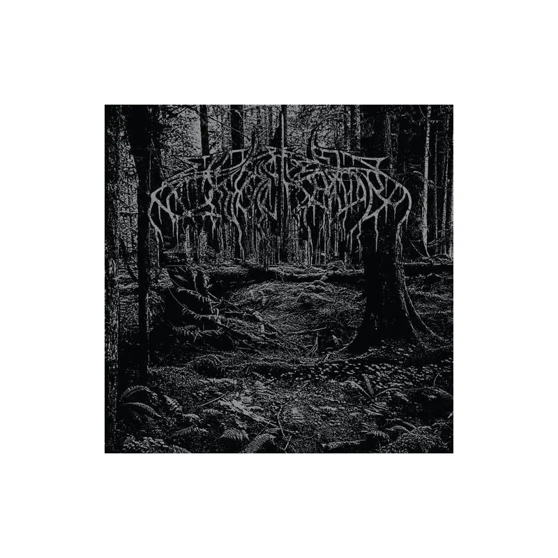 2005 Demo - Vinyl LP