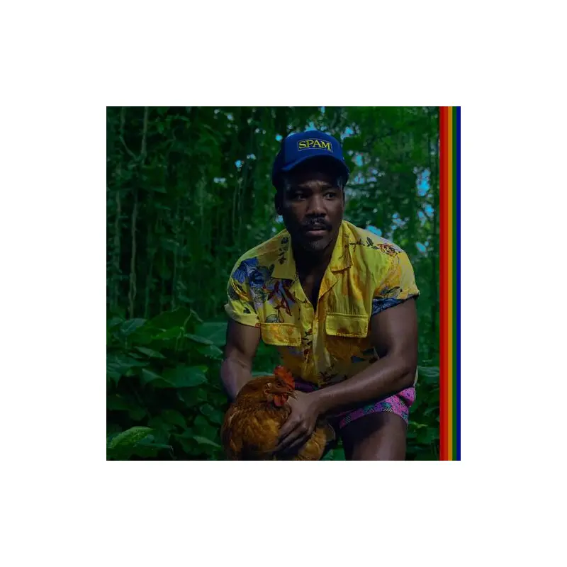 Bando Stone And The New World - Vinyl LP