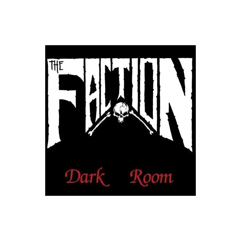 Dark Room - 12-Inch Single