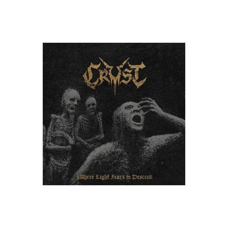 Where Light Fears to Descend - Limited Edition Vinyl LP