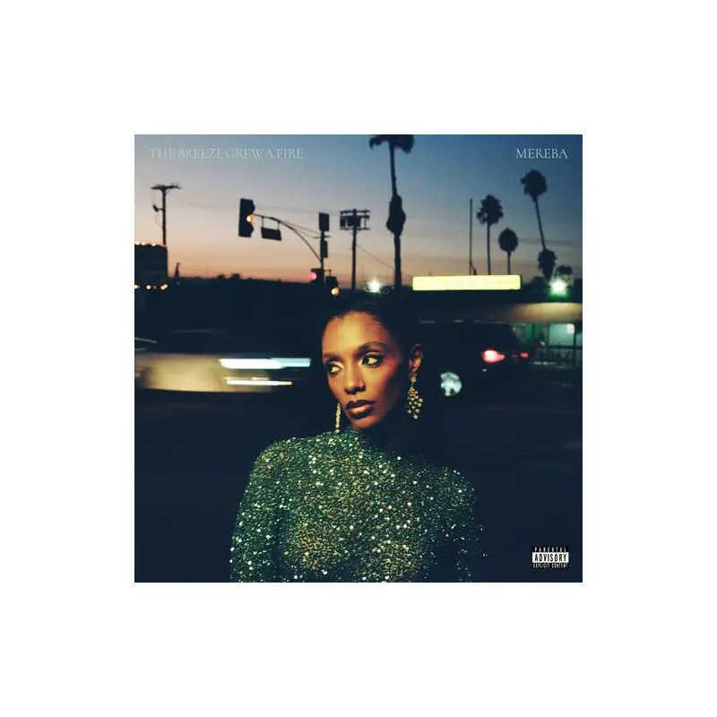 The Breeze Grew a Fire - Blue - Vinyl LP