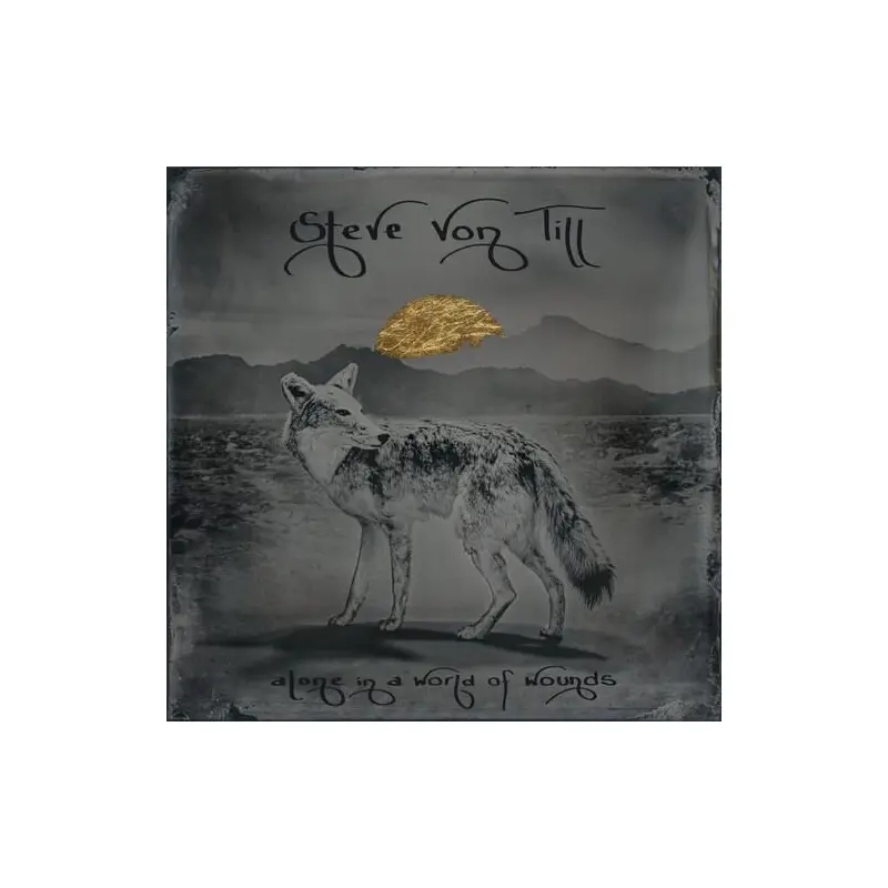 Alone In A World Of Wounds - Vinyl LP