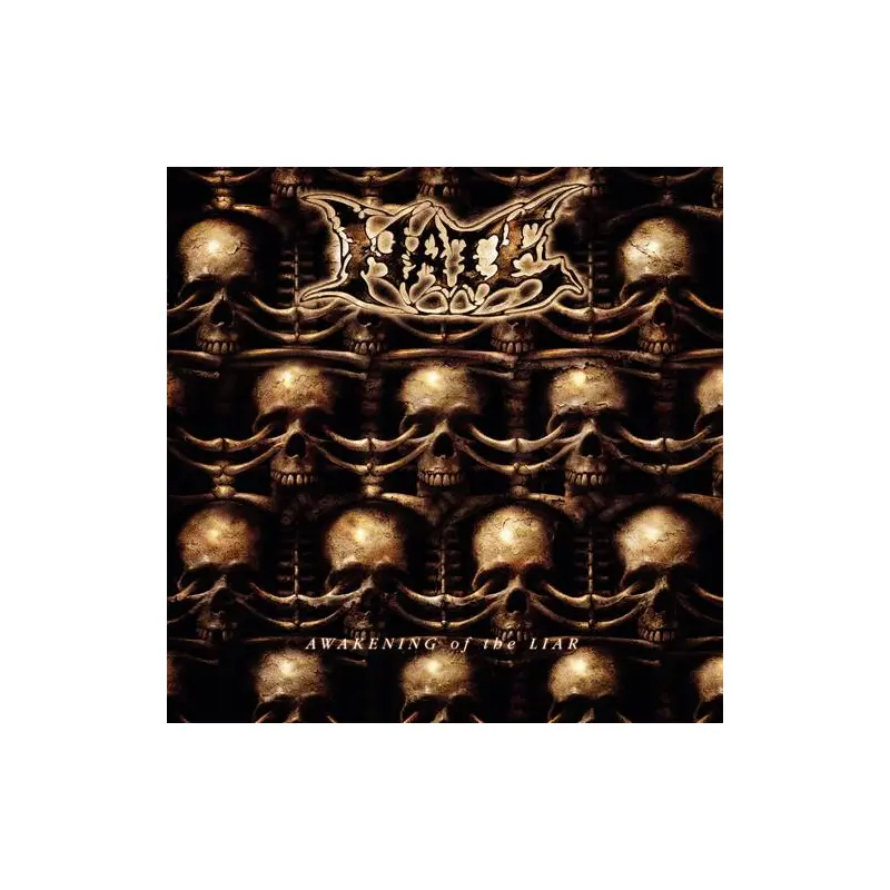 Awakening of the Liar - Limited Edition Vinyl LP