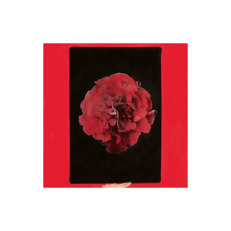 A Thousand Years in Another Way - Vinyl LP