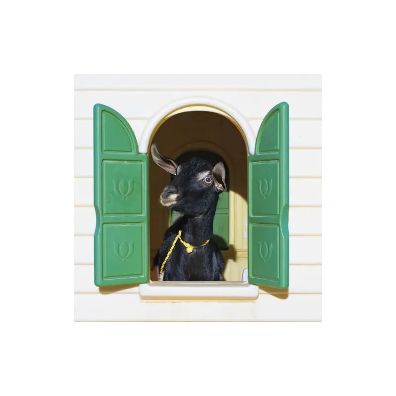 Wild Loneliness - Green & Yellow - Vinyl LP (Green/Yellow)