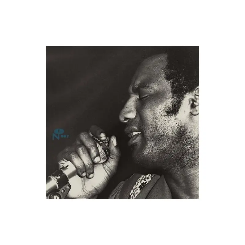 Trying to Survive - Vinyl LP