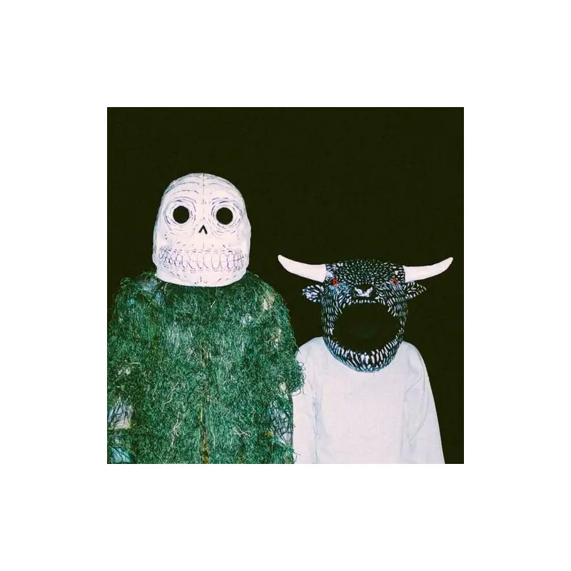 A Joy So Slow at Times I Don't Think It's Coming - Vinyl LP