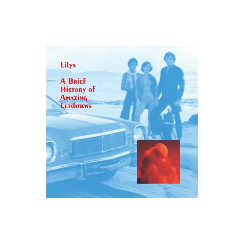 A Brief History Of Amazing Letdowns - Vinyl LP