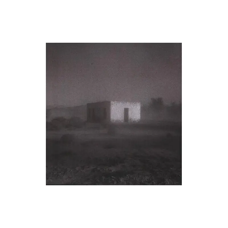 Allelujah! Don't Bend! Ascend! - Vinyl LP 180 Gram