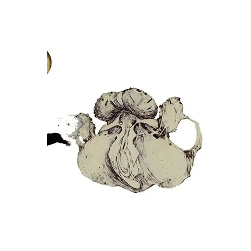 Ape Of Naples - Vinyl LP