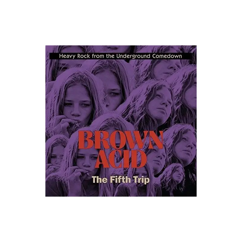 Brown Acid - The Fifth Trip (Various Artists) - Vinyl LP