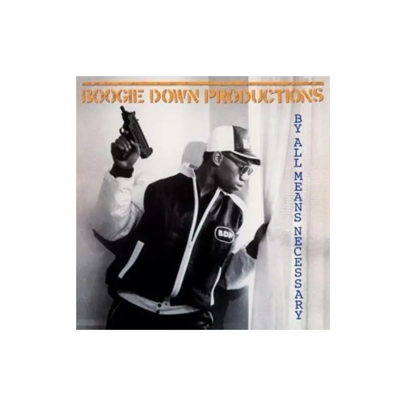 By All Means Necessary - Vinyl LP