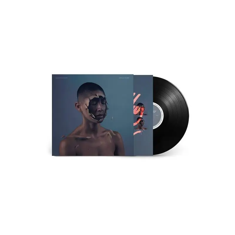 The Valley Of Vision - Vinyl LP