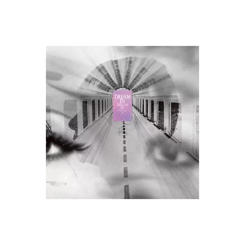 Dream In Dream - Japanese Pressing - Vinyl LP