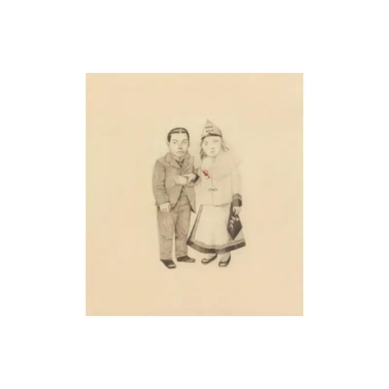 The Crane Wife - Vinyl LP