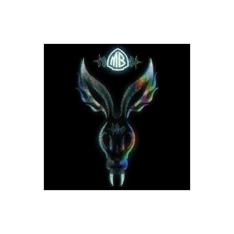 The Night They Came Home - Vinyl LP