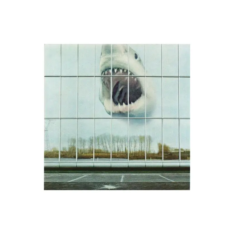 Wilderness Heart - Vinyl LP